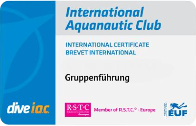 Gruppenführung