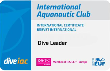 Dive Leader